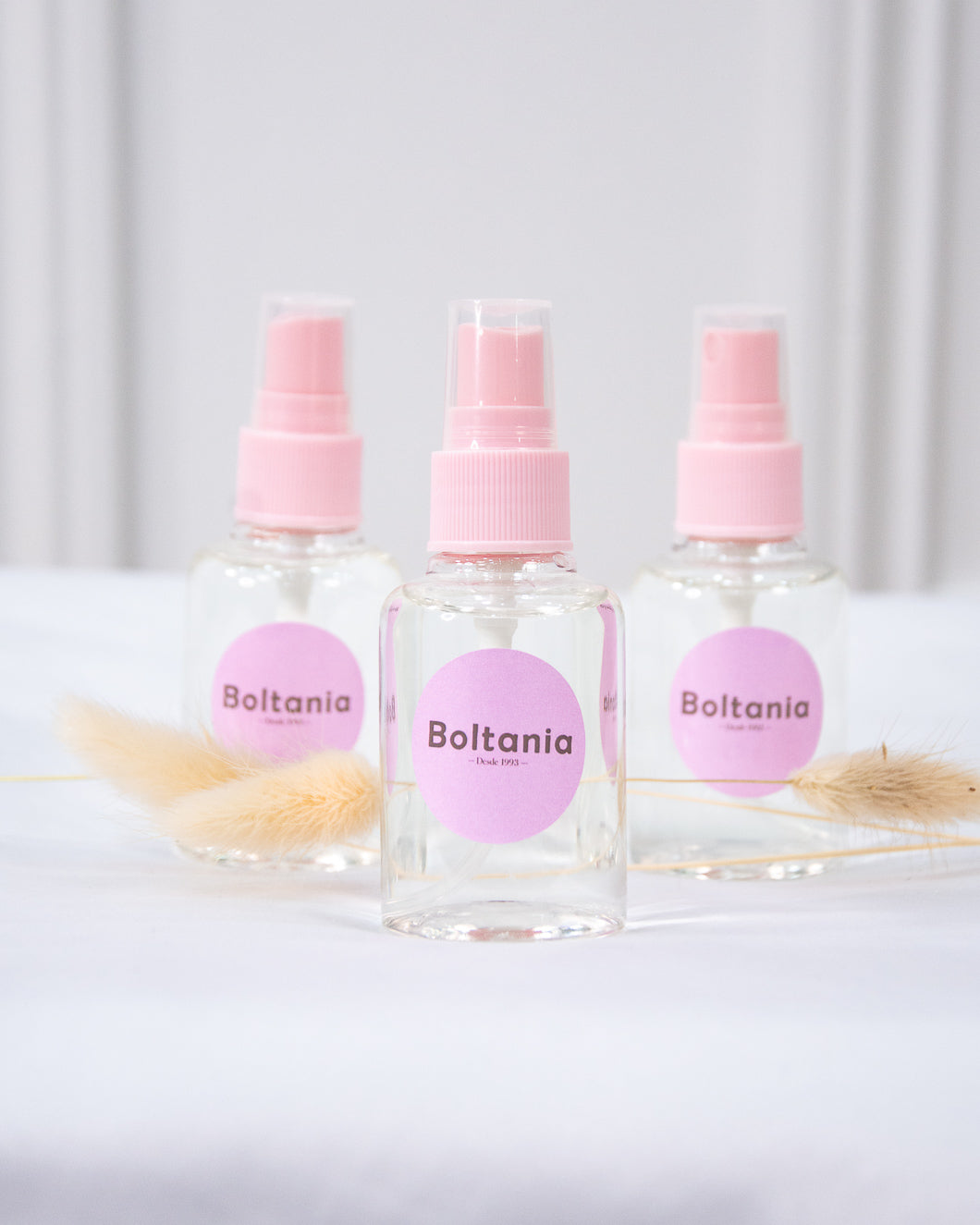BOLTANIA AROMA