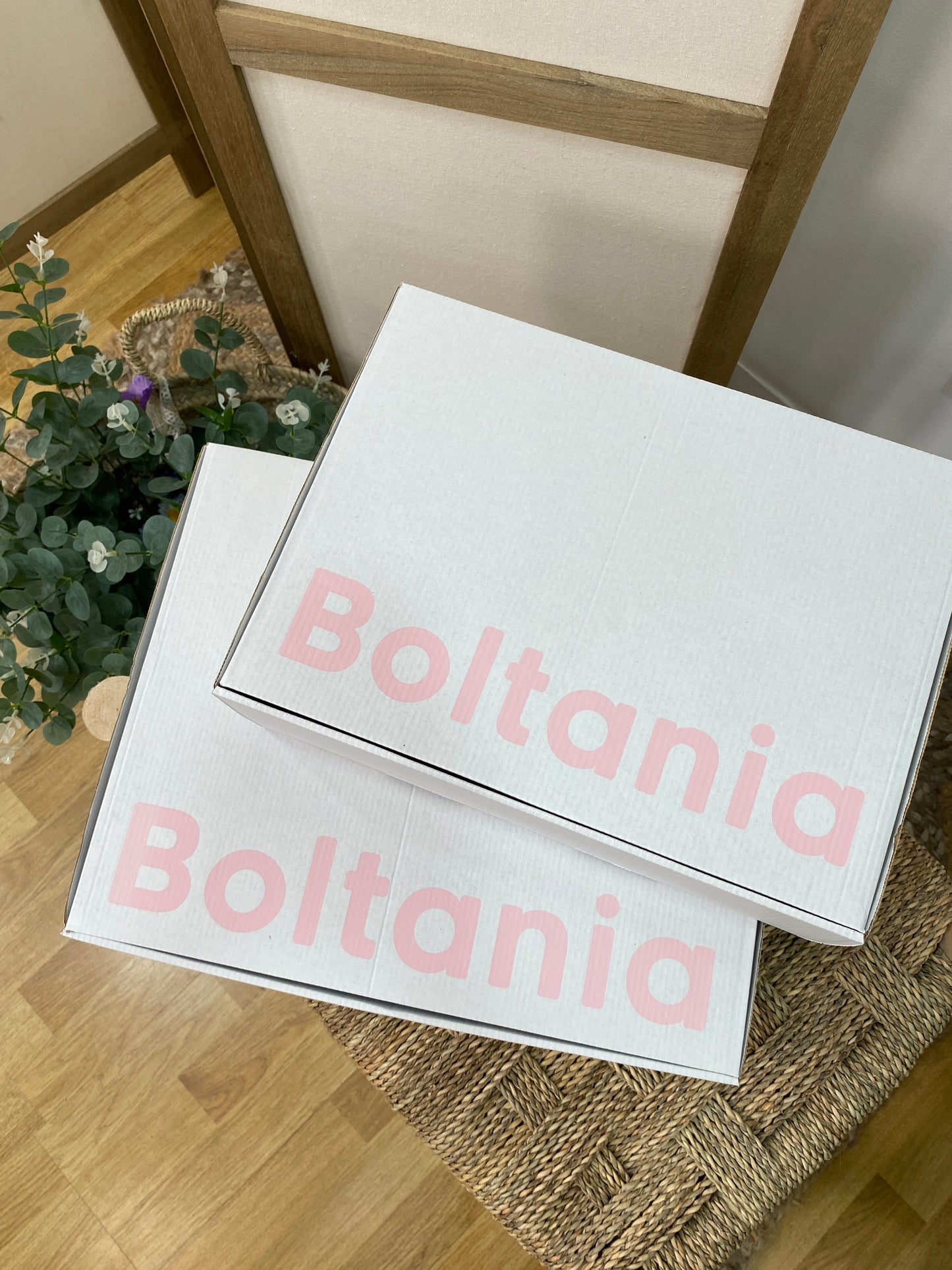 CAJA BOLTANIA